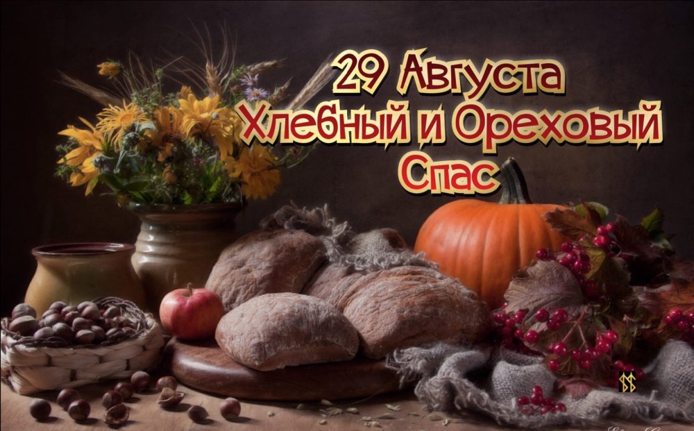 Фон дерево орех
