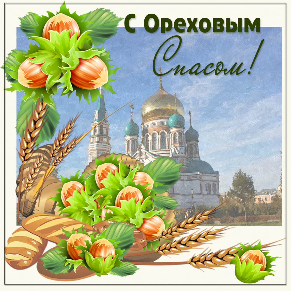 Белка с орехом на белом фоне