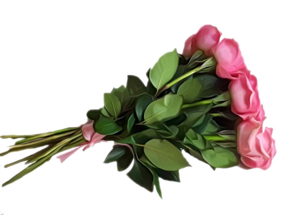 Decorative Blooms Хризантема
