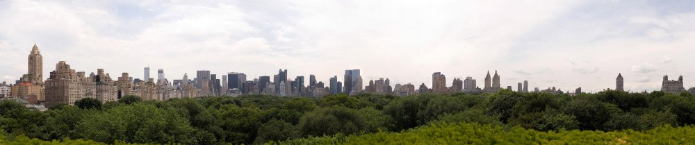 Панорама города с деревьями