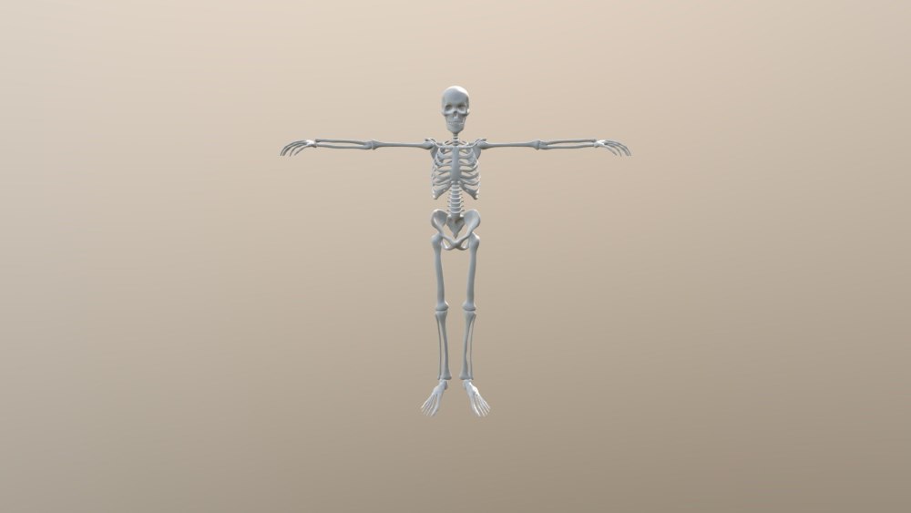 Скелетон 2d