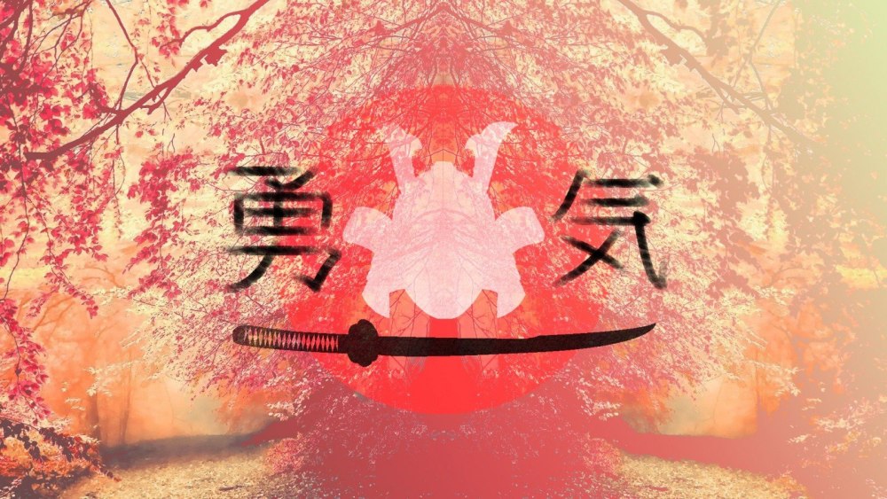 Bushido путь воина