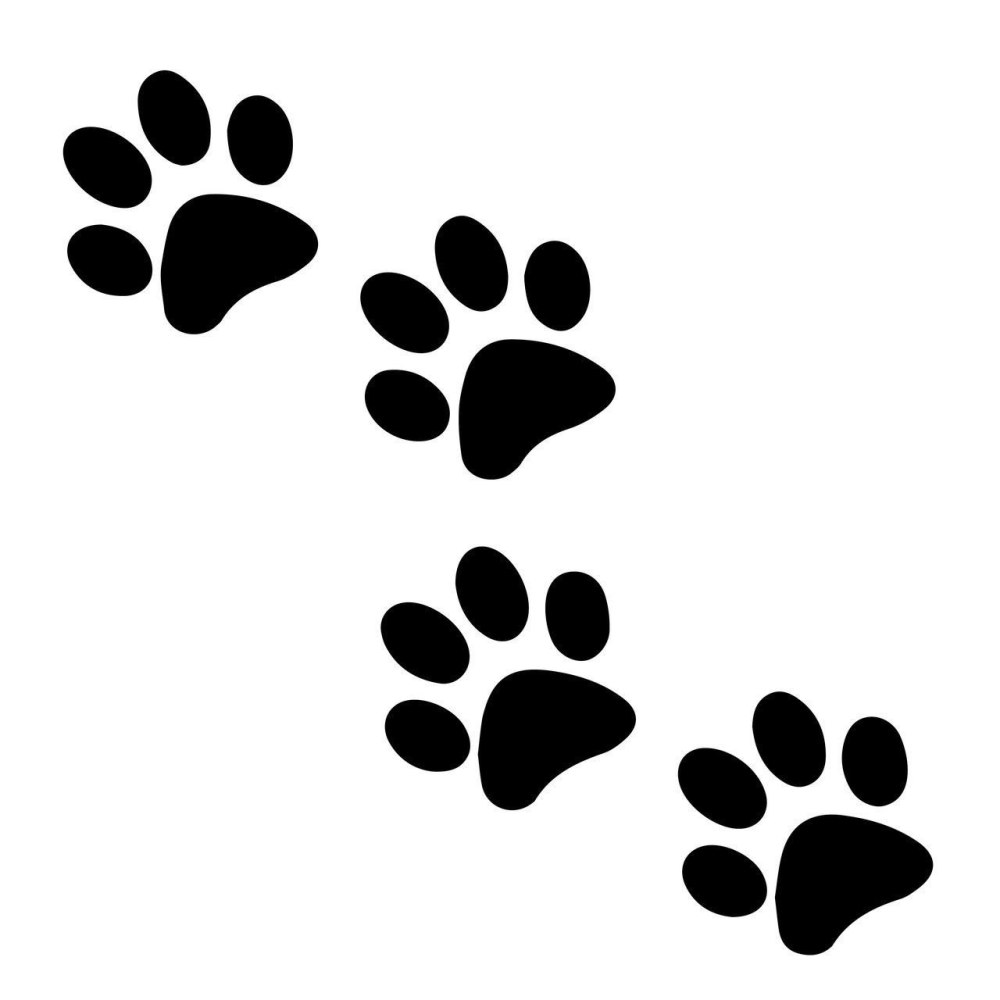 Отпечаток лапы кота