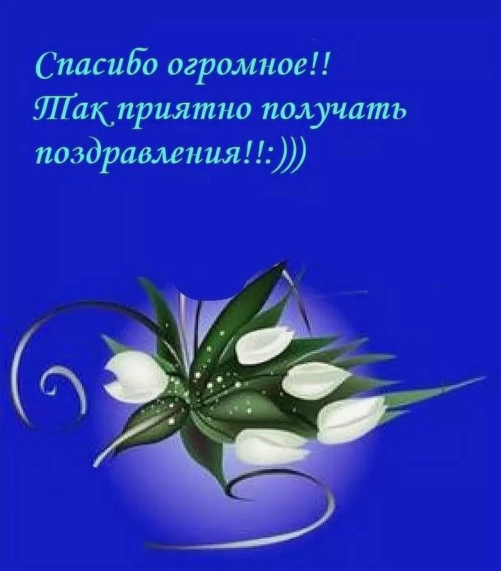 Спасибоза поздравленич