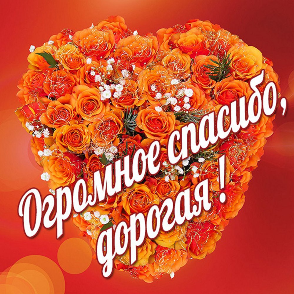 Спасибо за поздравления