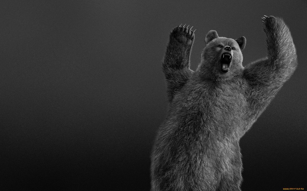 Meme Wallpaper for Google