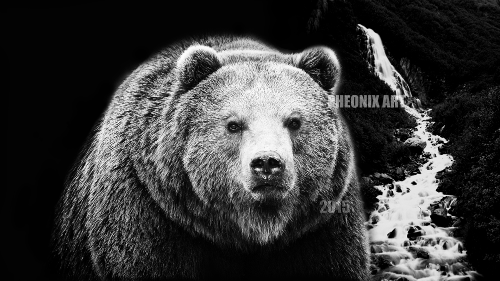 Гомер симпсон