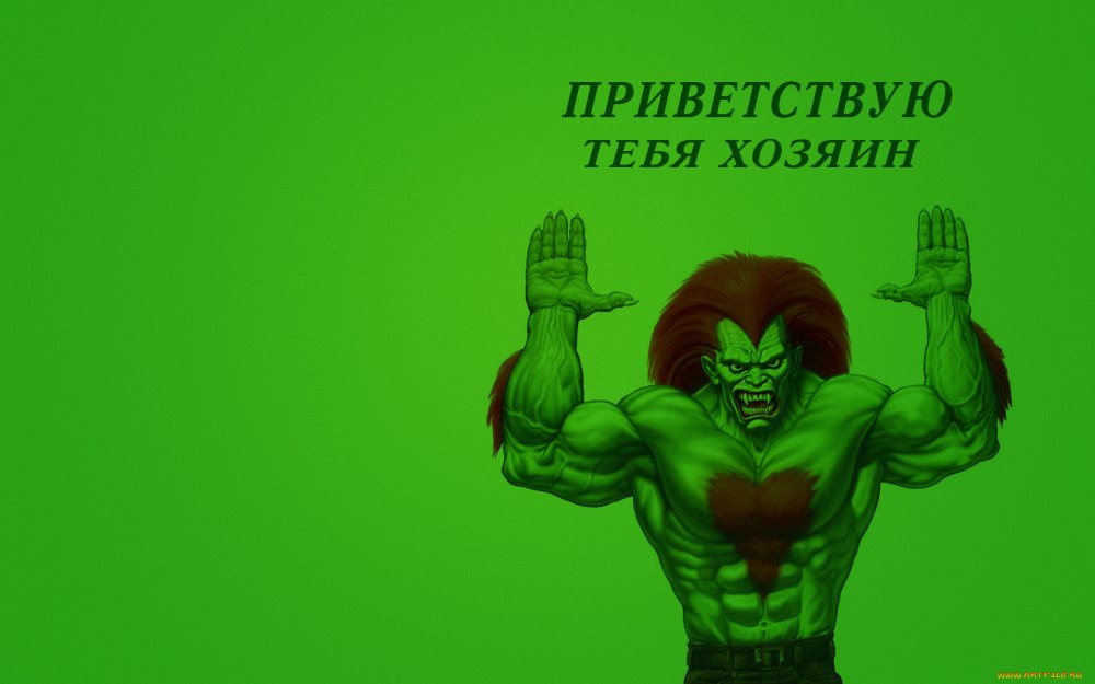 Обои с ламой