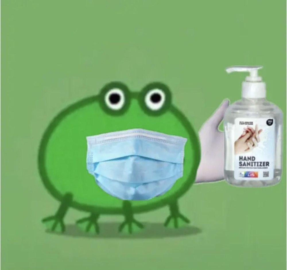Лягушка из тик тока