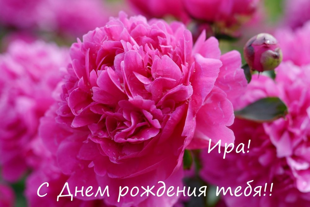 Поздравления с днём рождения Ирине