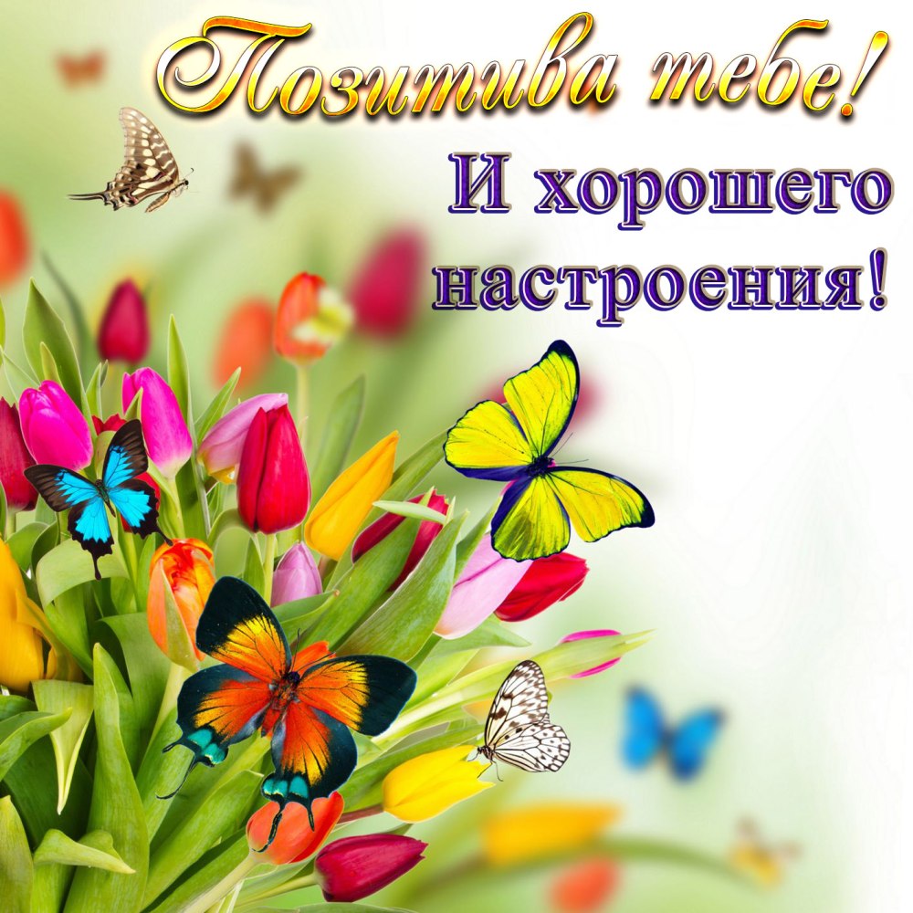 Доброе утро четверга