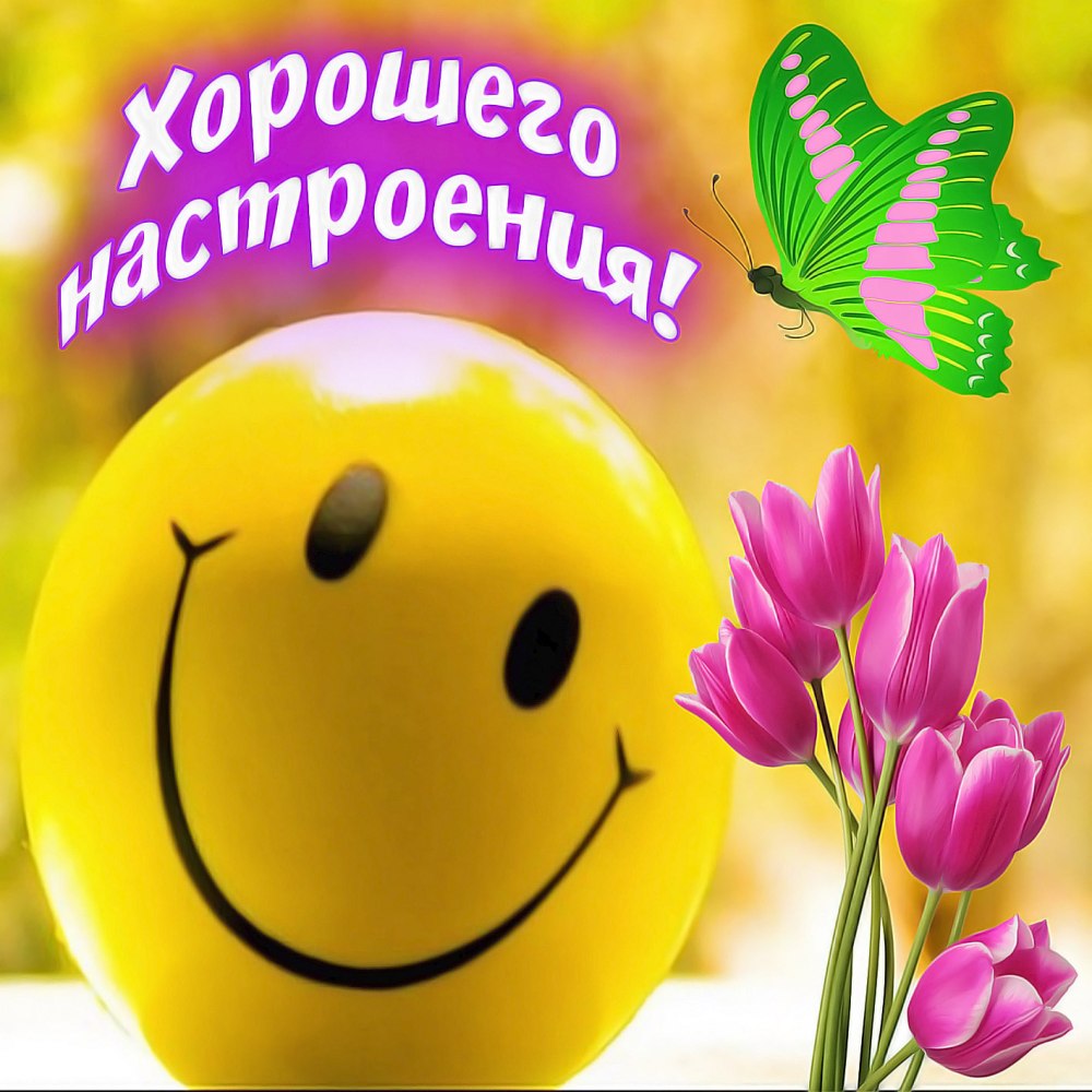 Интернет шоппинг