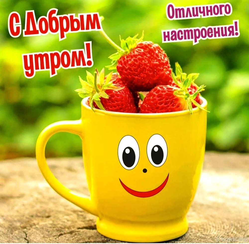 Девушка с пакетами