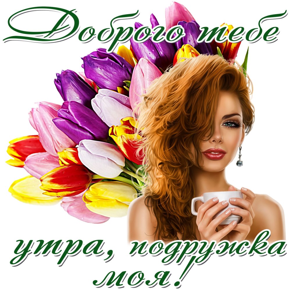 Барбара Зелински шопоголик