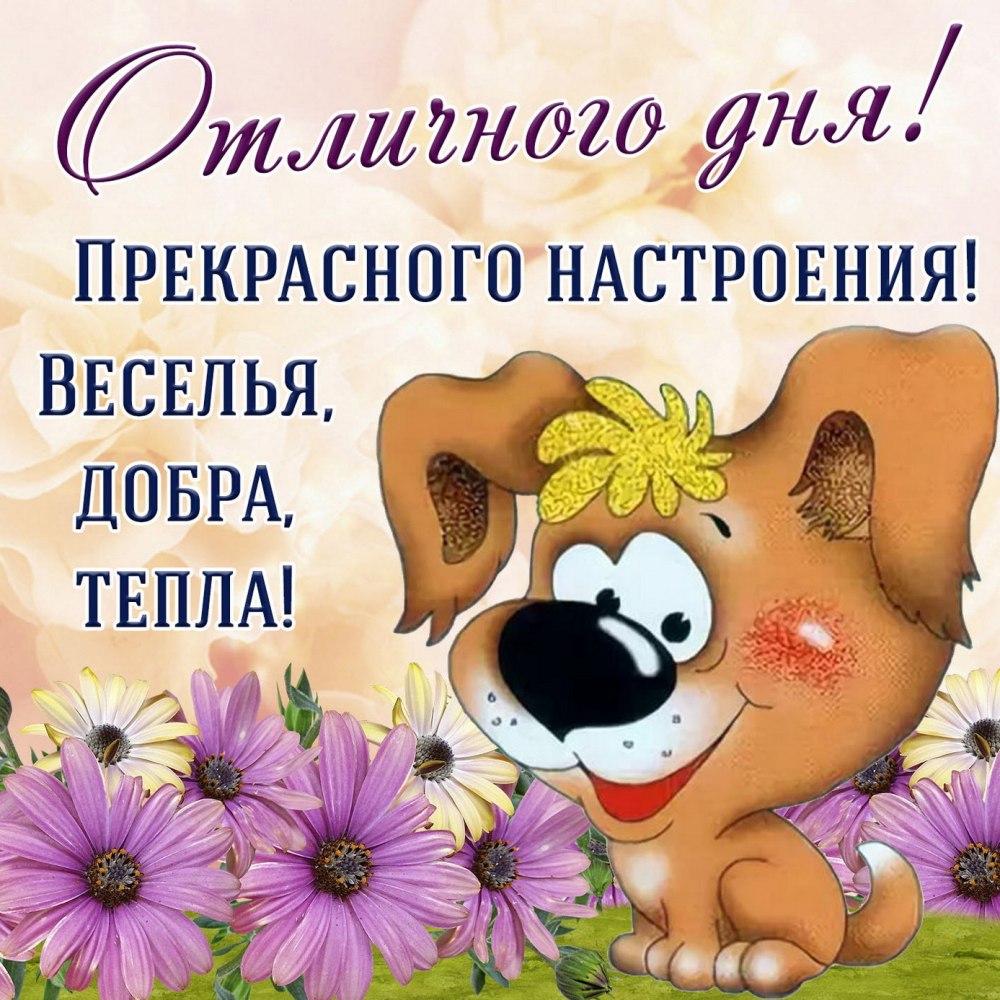Шапка для сайта интернет магазина одежды
