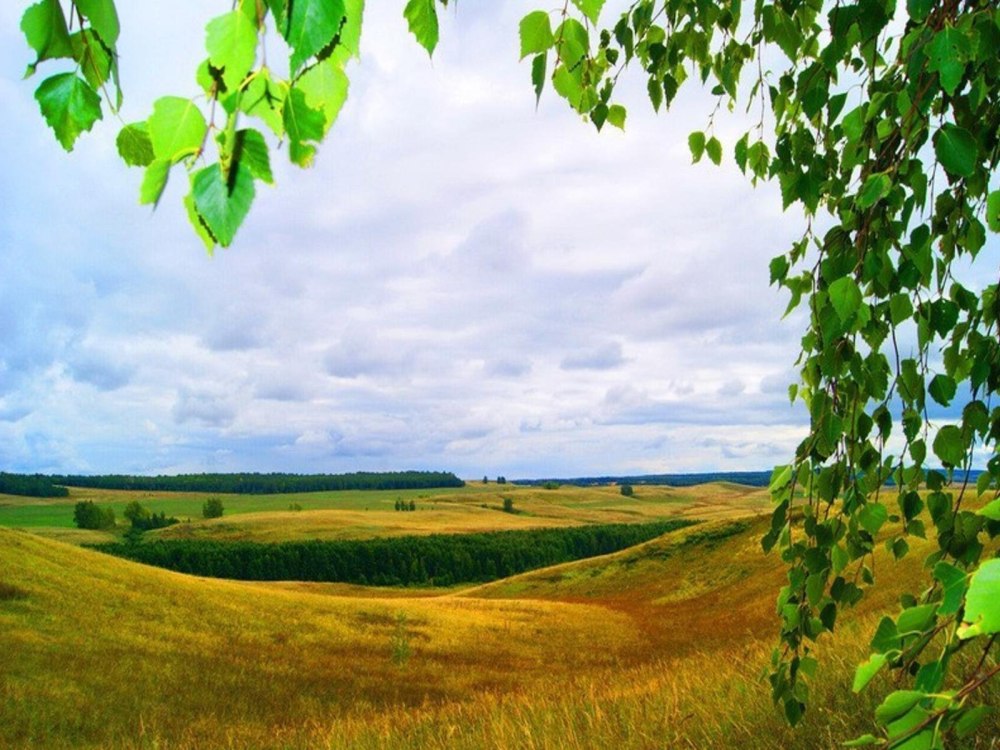 Рамка Родина