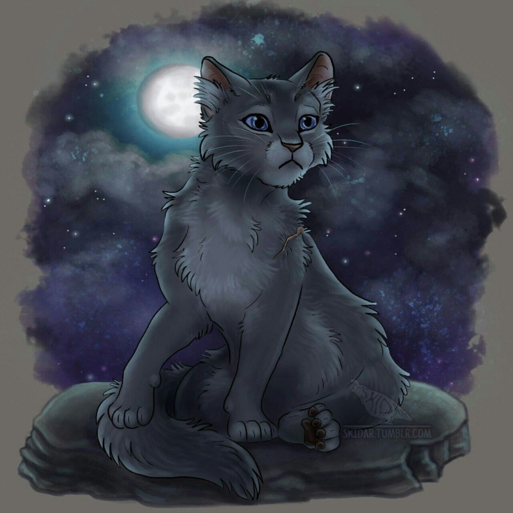 Коты Воители дождевой цветок