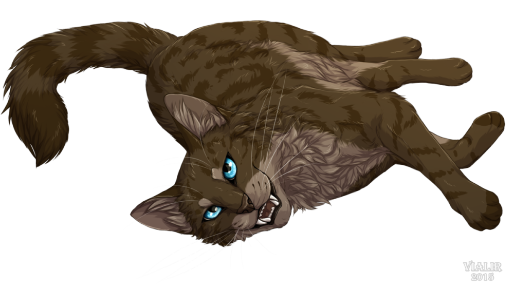 Коты Воители marymsjay