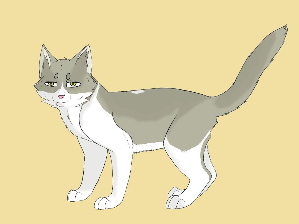Коты Воители Светлозвёзд