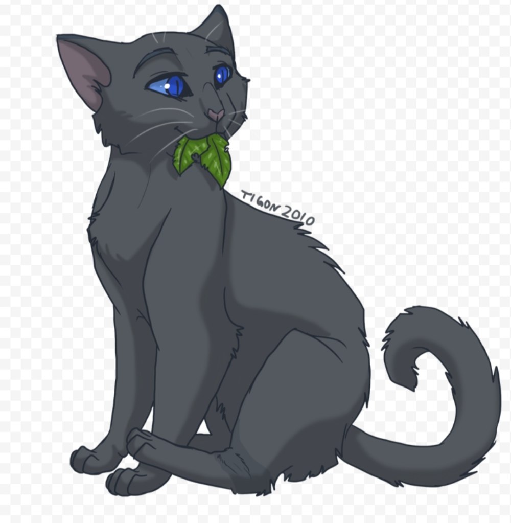 Коты Воители Кленовница