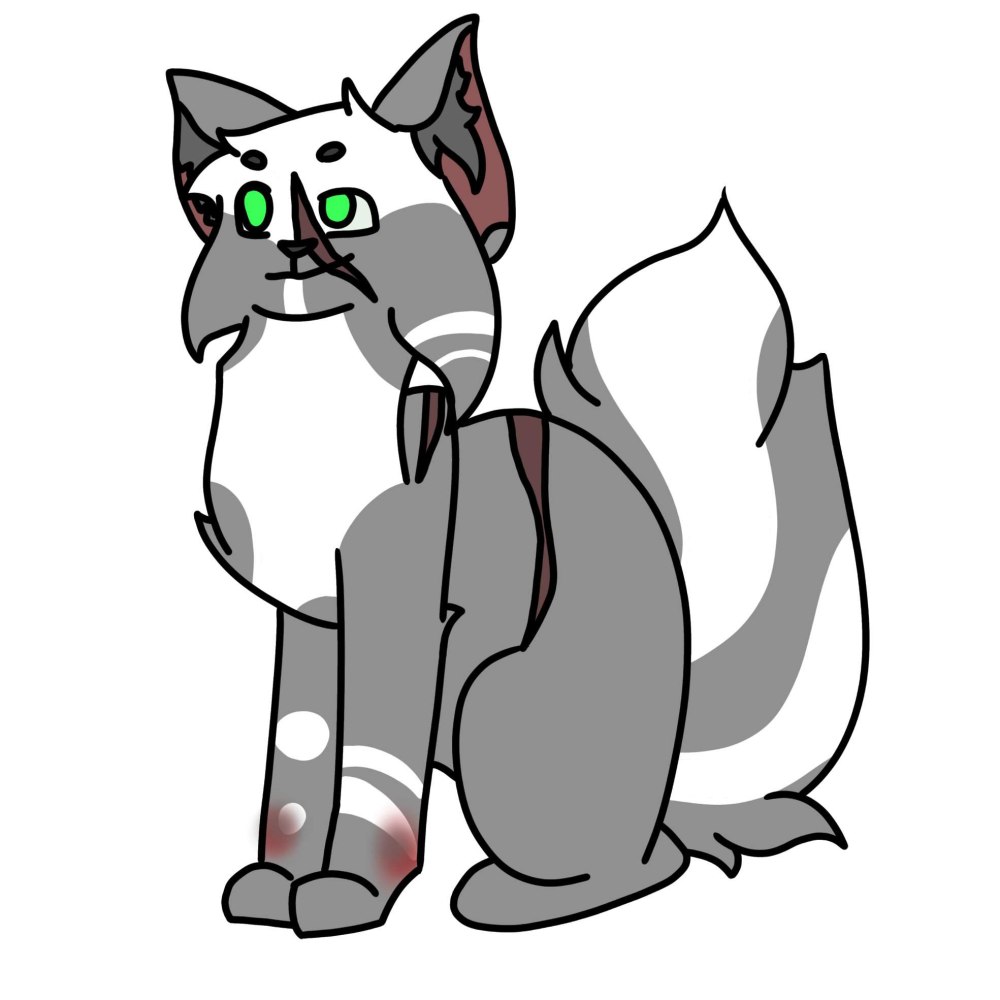 Коты Воители Тучезвезд