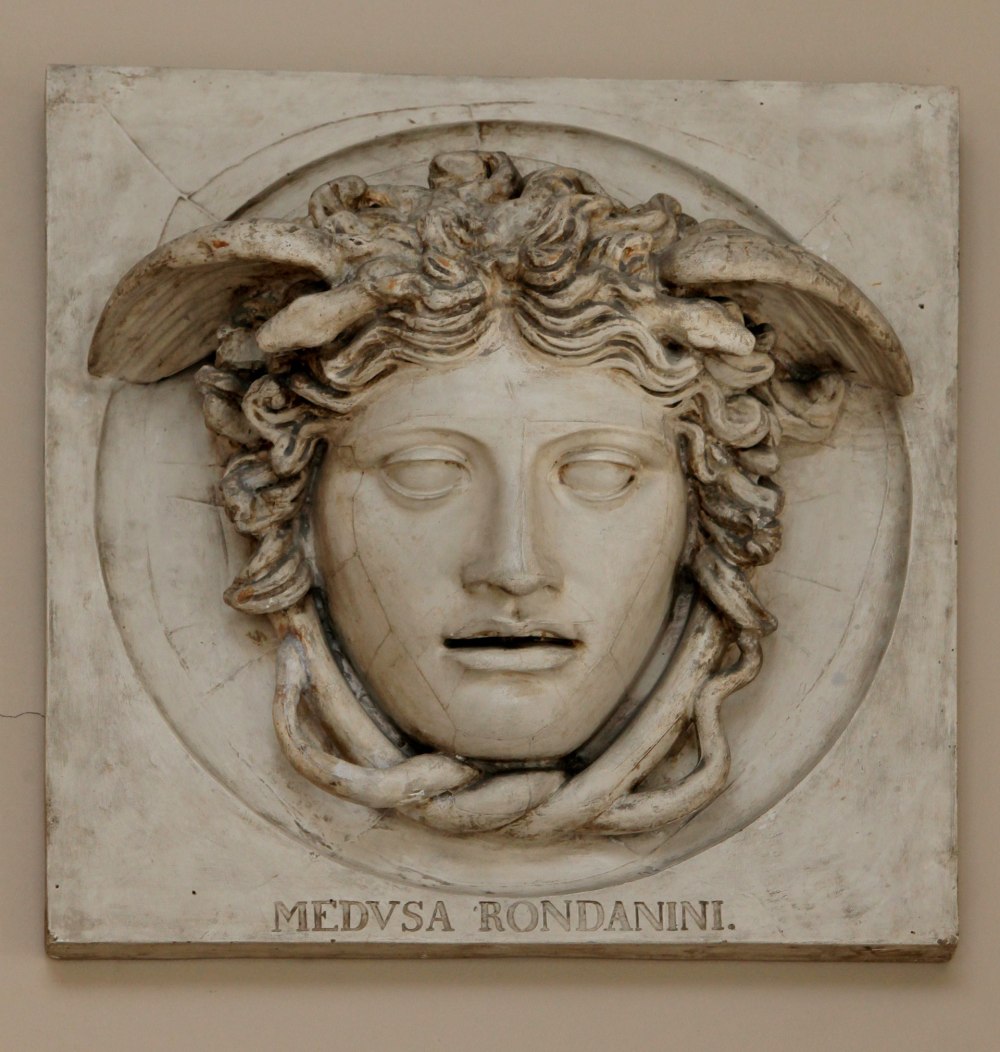 Медуза Ронданини