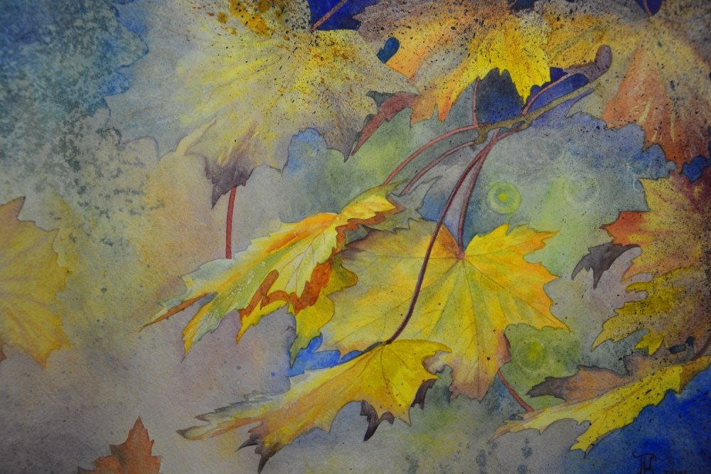 Художник z l Feng