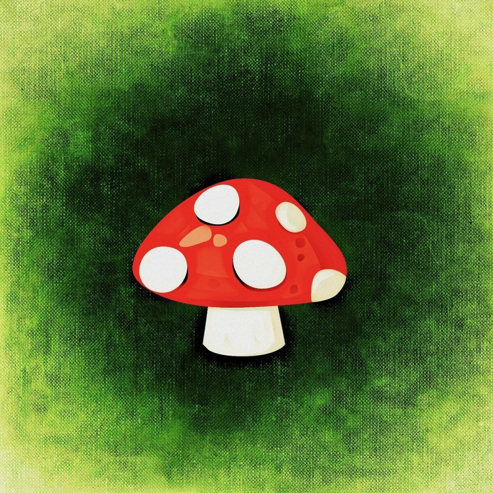 Грибы (с наклейками)