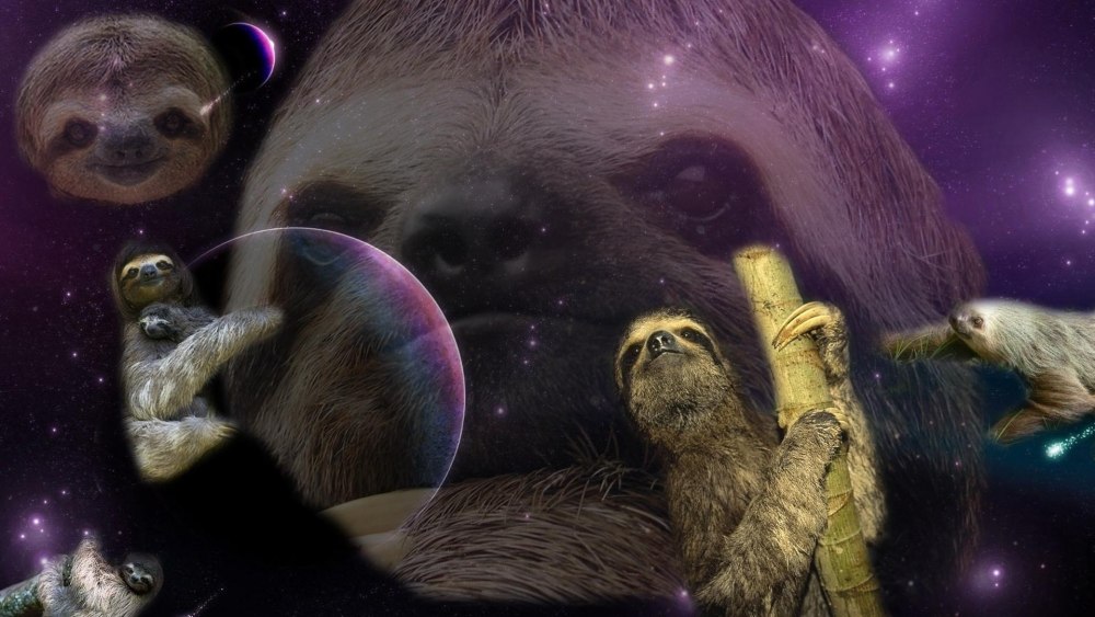 Кошка с косыми глазами