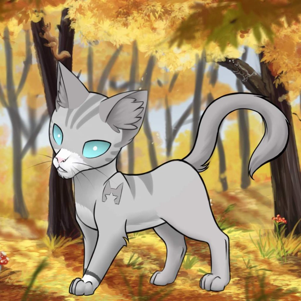 Mosskit Cats Warriors