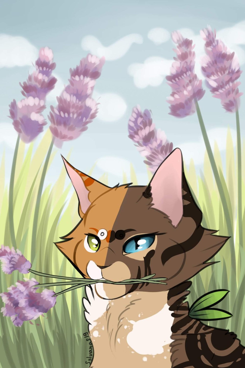 Warriors Cats Ashfur