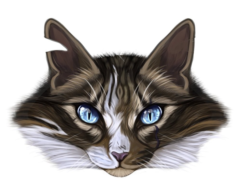 Коты Воители Киара