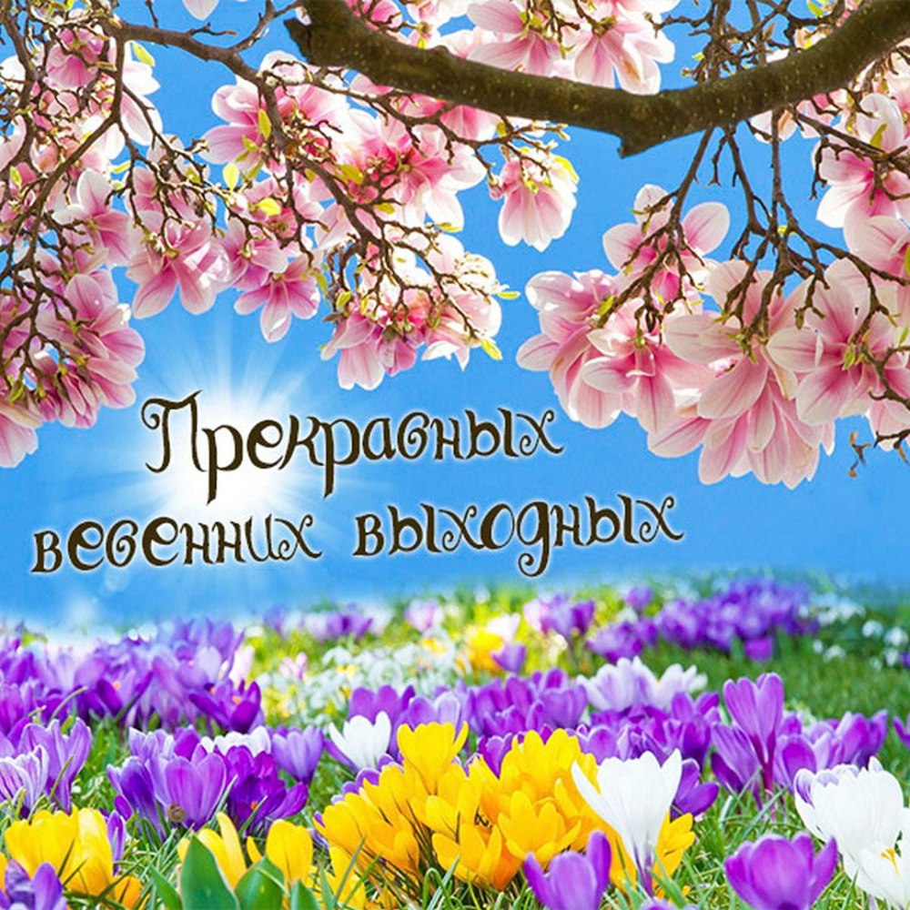Сериалов для весенних выходных