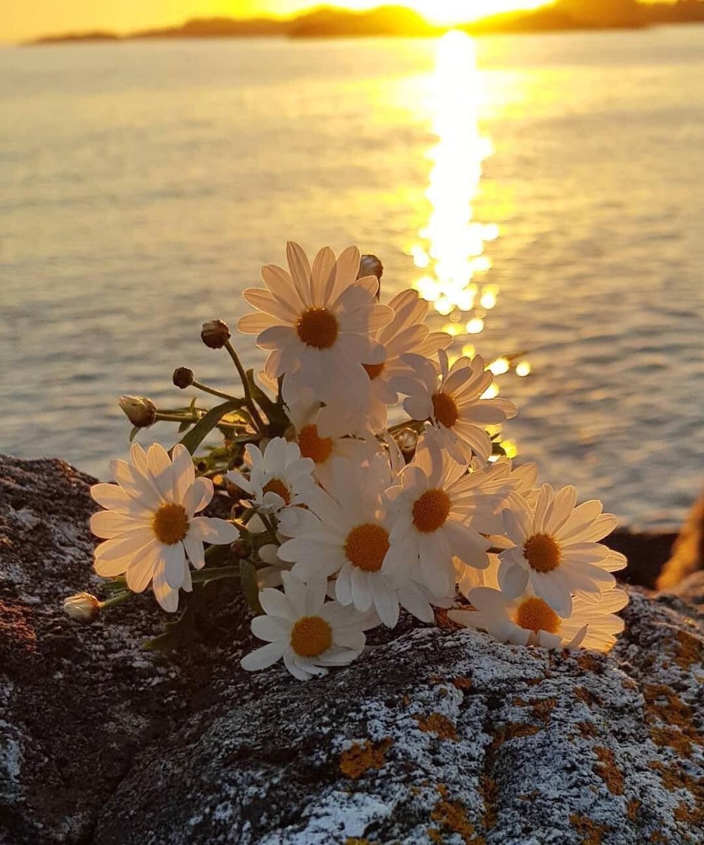 Доброго дня природа