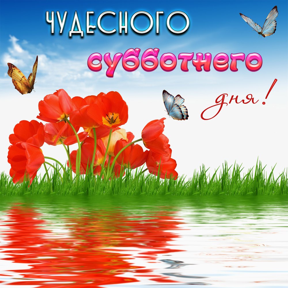 Хорошего субботнего дня