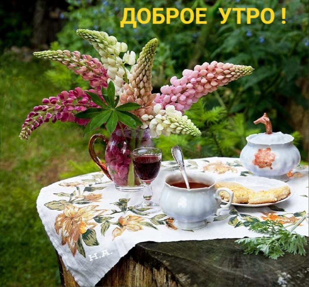 Доброе летнее утречко