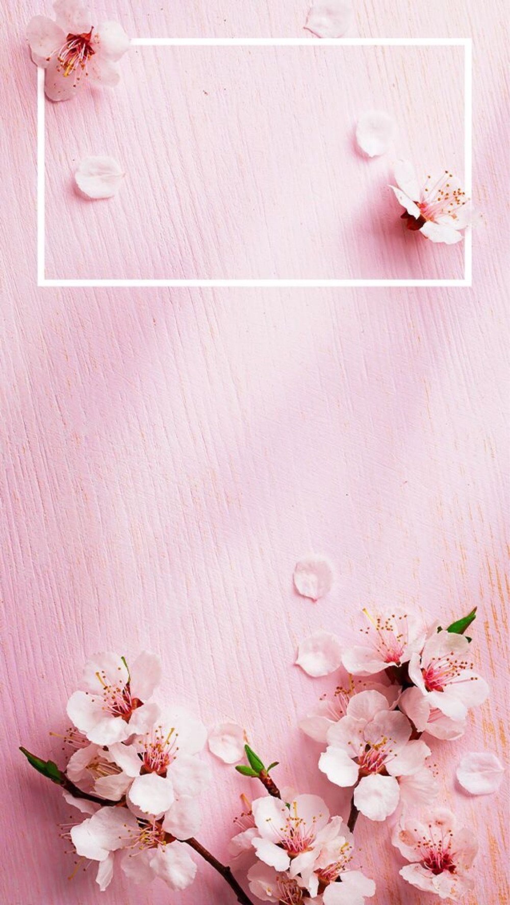 Фотофон с цветами