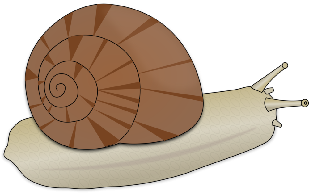 Улитка мультяшная