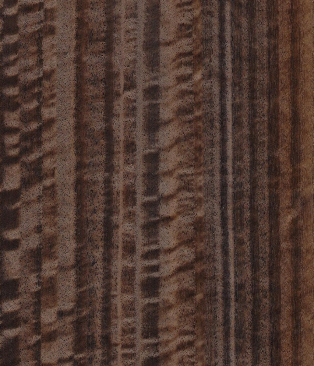 Шпон Tabu Eucalyptus