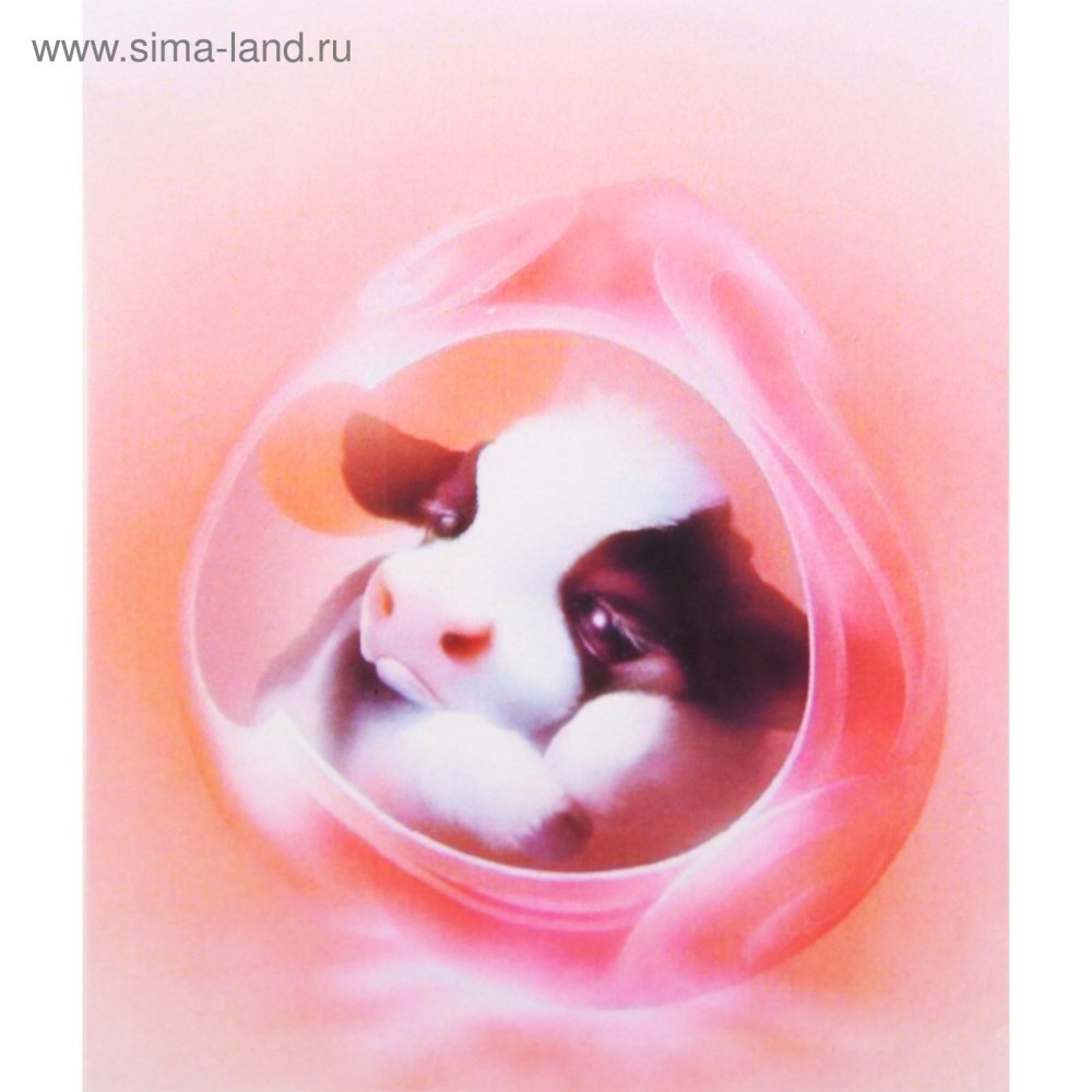 Милый котенок