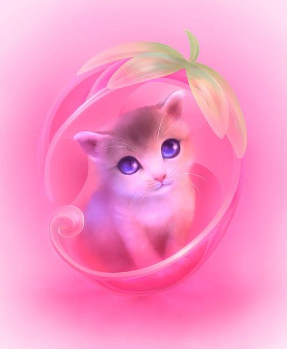 Миленькие котики