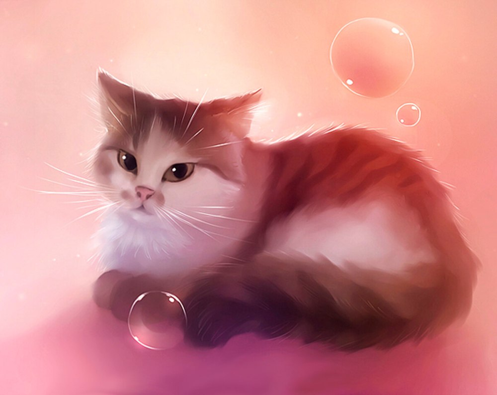 Котики арт