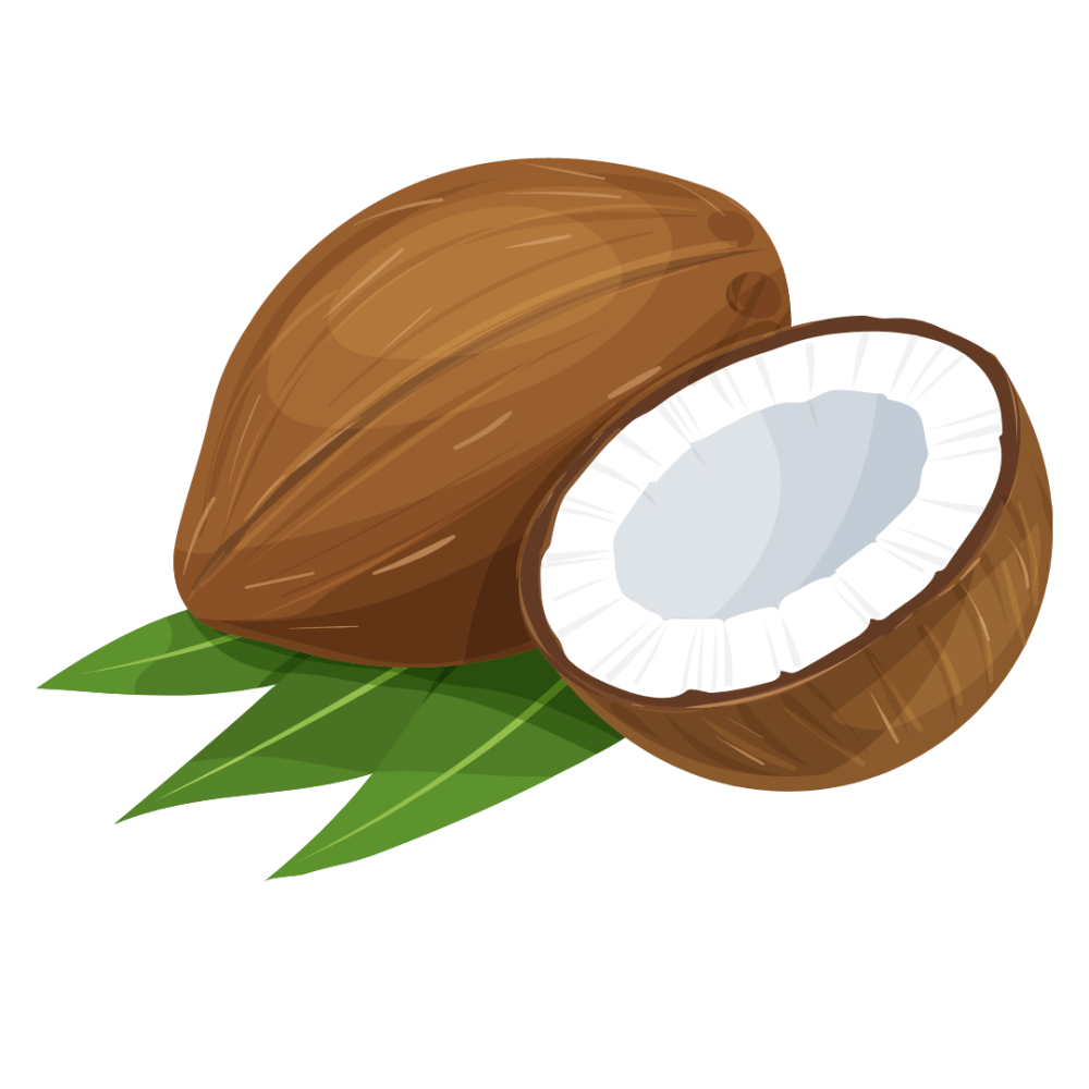 Наклейки Кокос