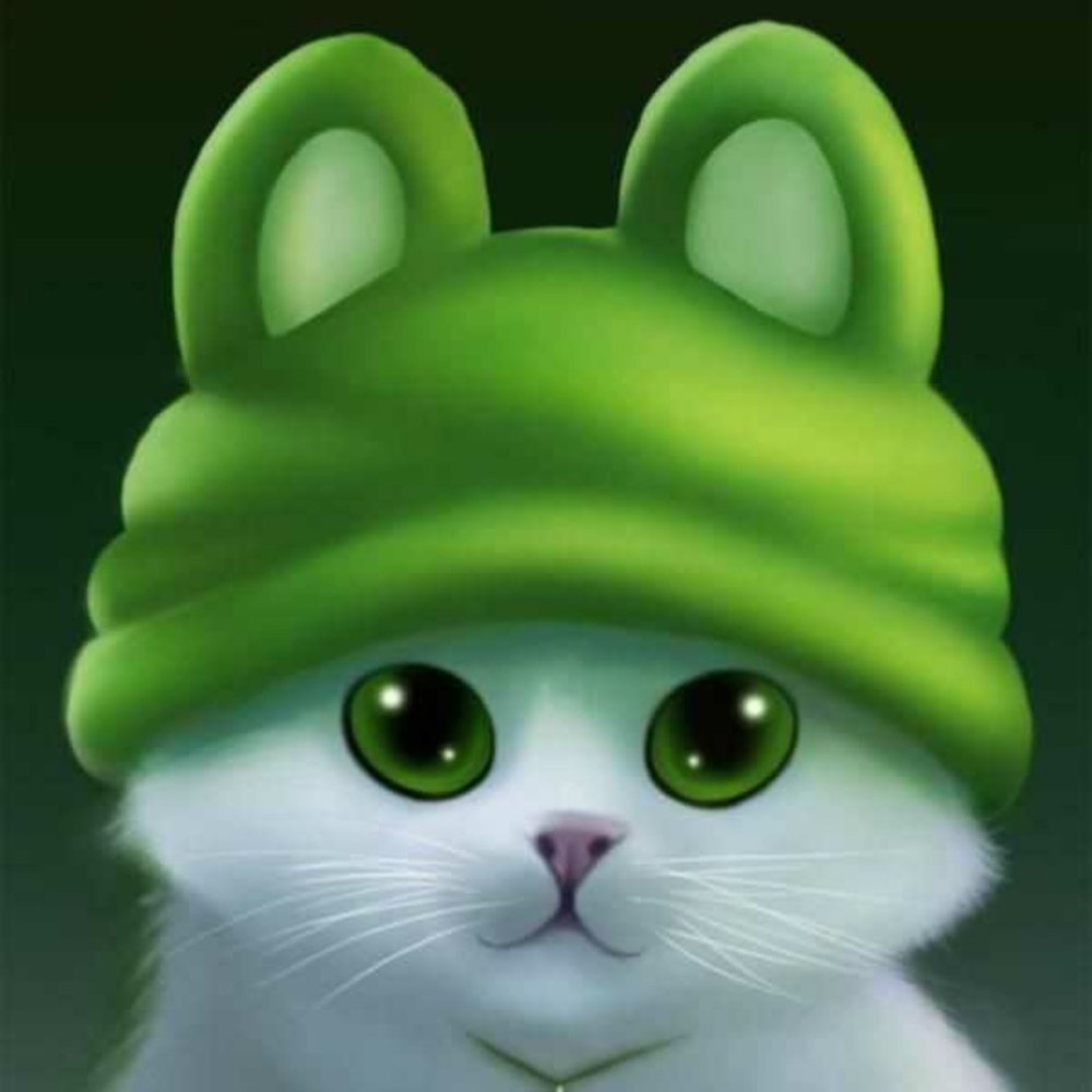 Крутой кот