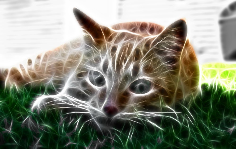 Редфилд- Fractalius.