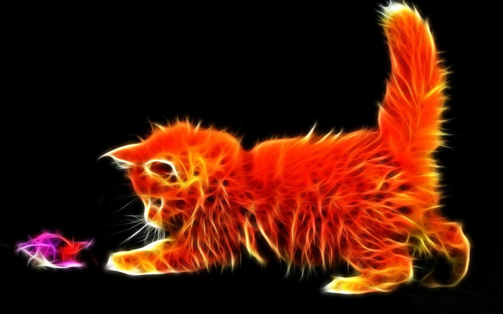 Кошка мистика