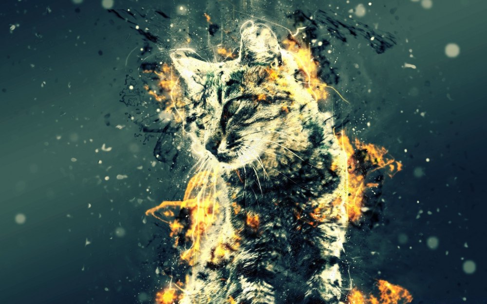 Кошачий Минимализм