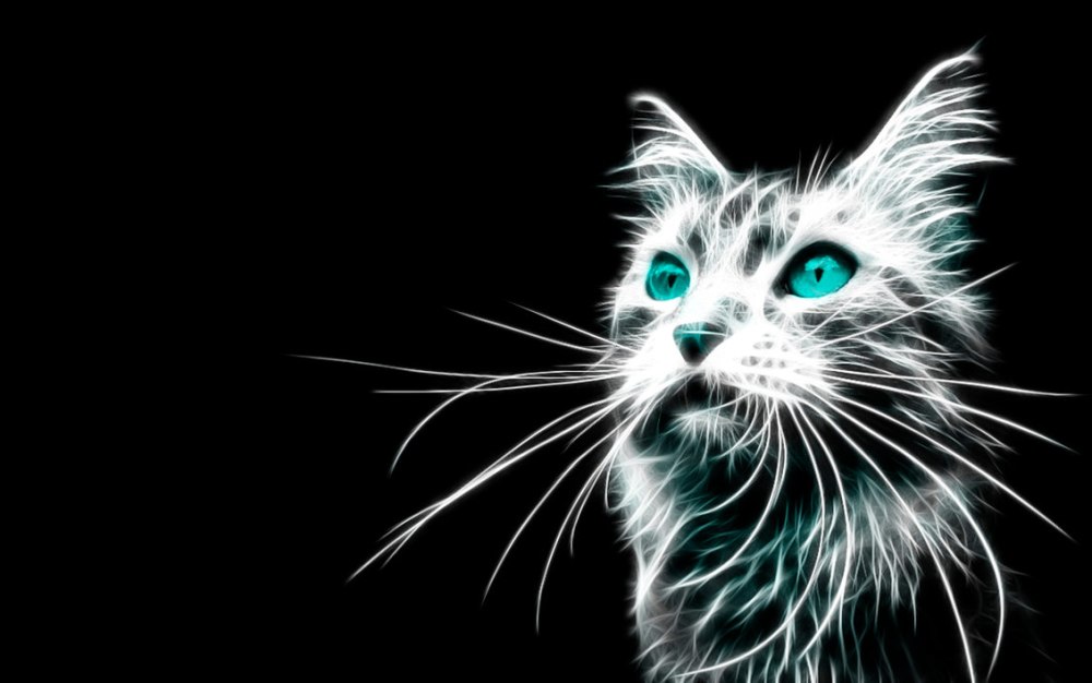Алмазная мозаика сиамский кот