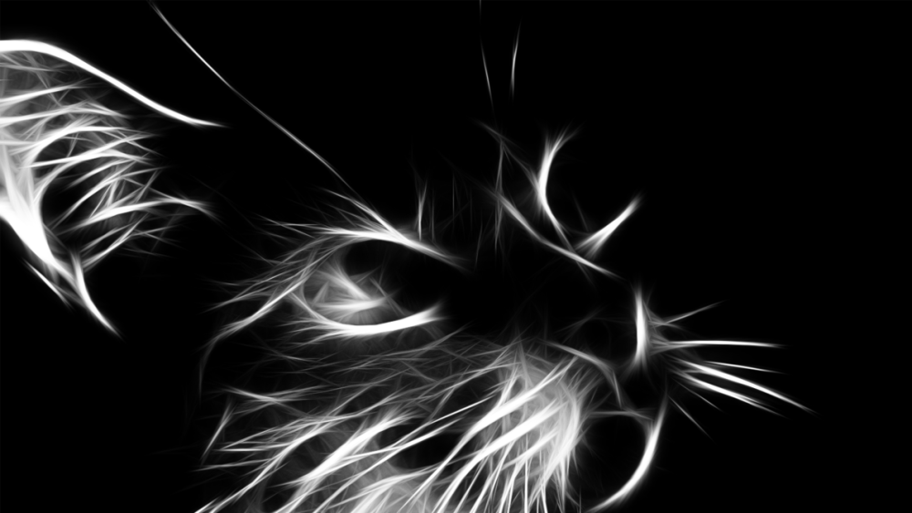 Чёрная кошка абстракция
