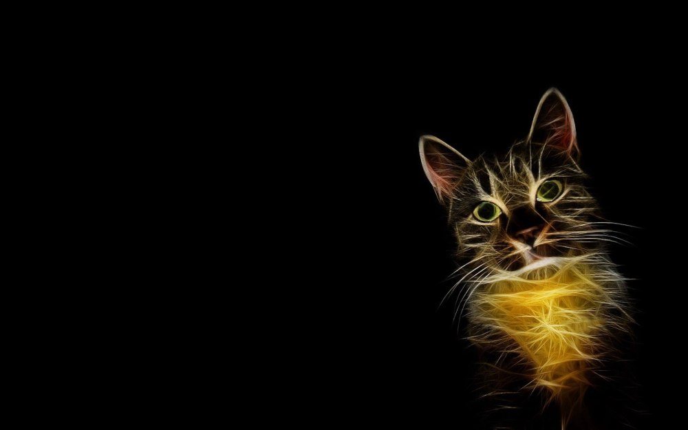 Кошка с огненными глазами